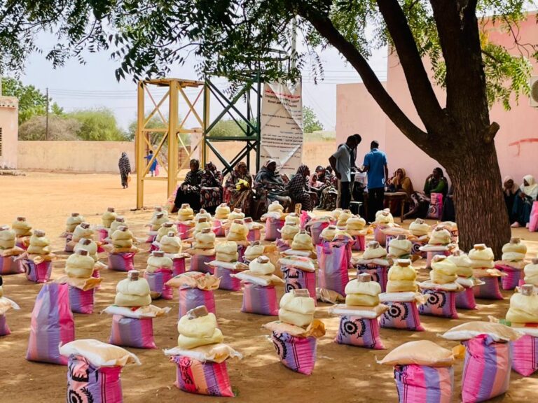 Kayan Organization for Women’s Empowerment distributed 100 food baskets targeting affected families in the Adila locality